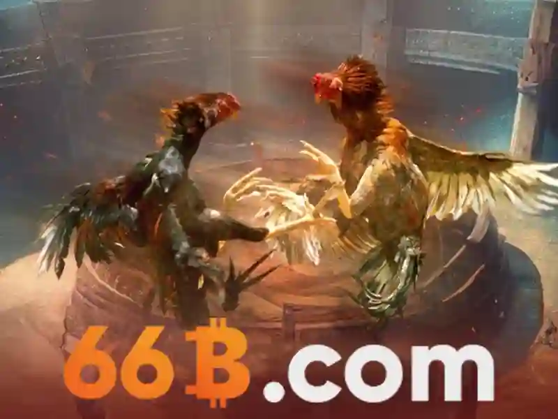 66b free chip - 66B 66b free chip - 66B