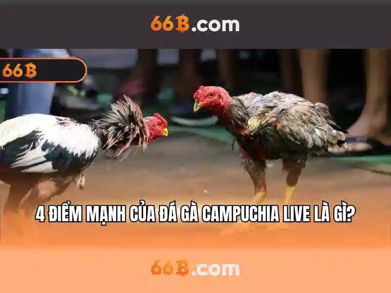 💎ca cuoc bong ro💎 💎ca cuoc bong ro💎