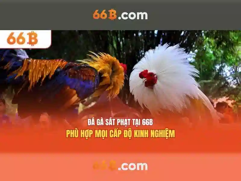 💎bangla beauty 888 slot💎 💎bangla beauty 888 slot💎